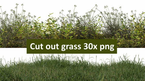Cut out grass line 30x png