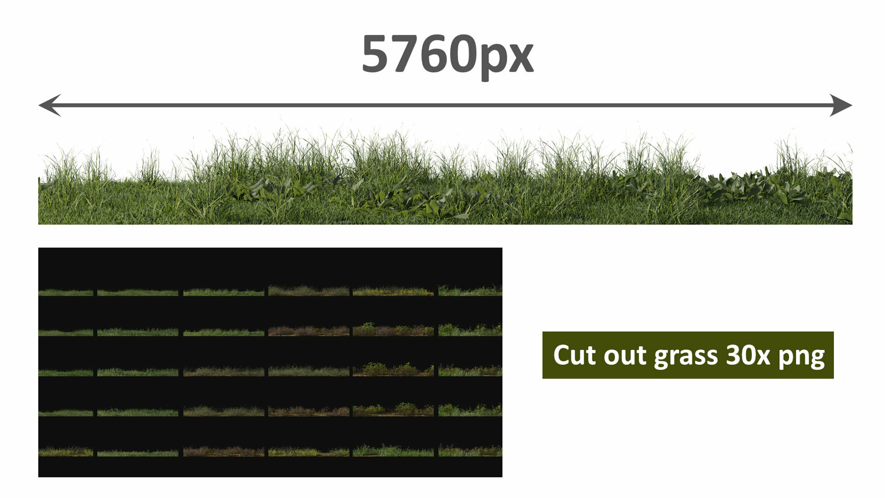 ArtStation - Cut out grass line 30x png | Resources