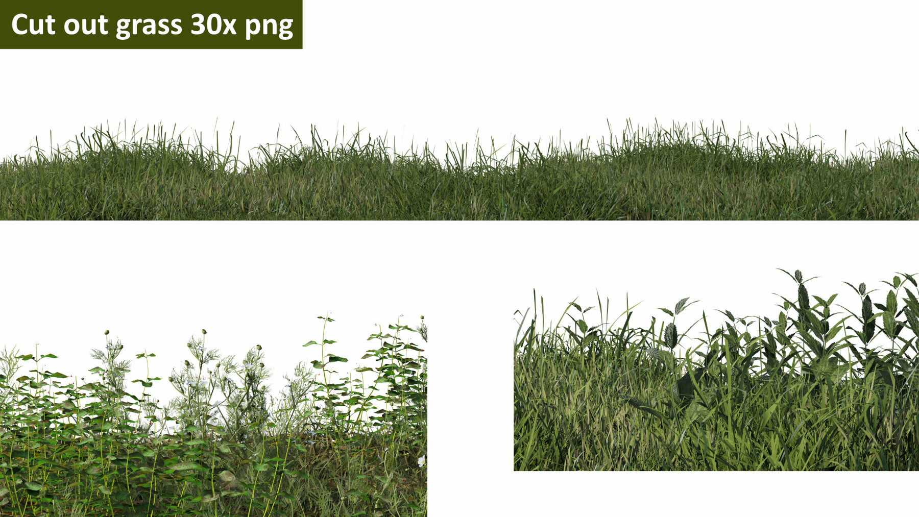 ArtStation Cut out grass line 30x png Resources