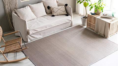 NEW Blue color release Modern simple bamboo carpet