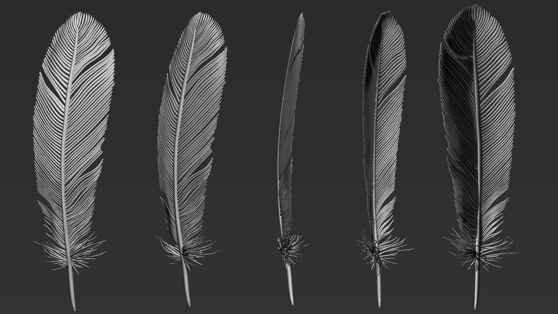 ArtStation - Feather 3D model | Resources