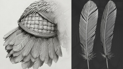 Feather 3D model