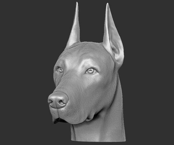 ArtStation - Dobermann head for 3D printing | Resources