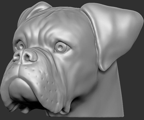 ArtStation Boxer dog head for 3D printing Resources