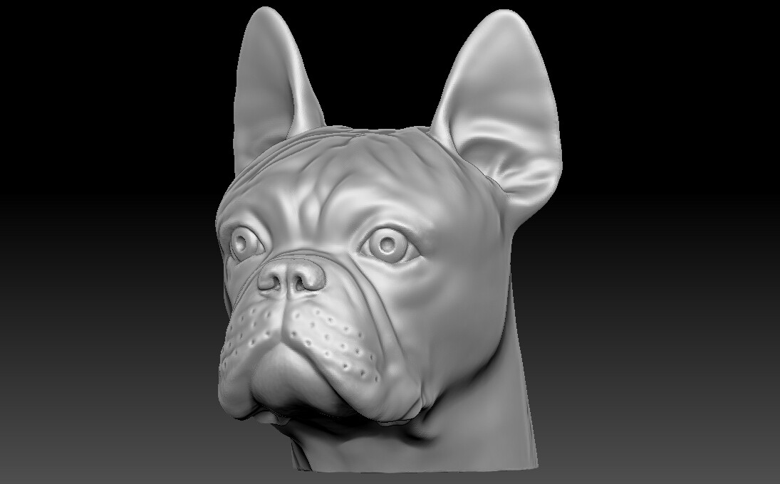 Ротвейлер Zbrush