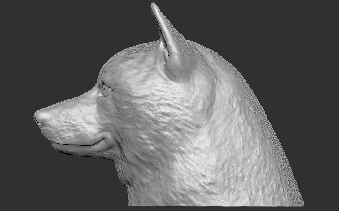 ArtStation - Shiba Inu head for 3D printing | Resources