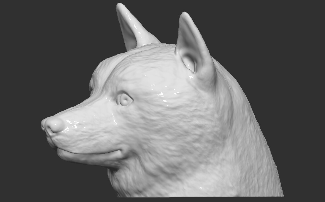 ArtStation - Doge meme Shiba Inu head for 3D printing | Resources