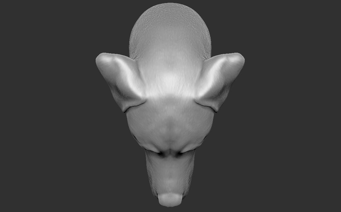 ArtStation - Labrador head for 3D printing | Resources