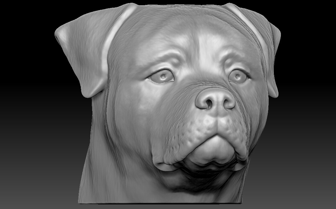 Ротвейлер Zbrush