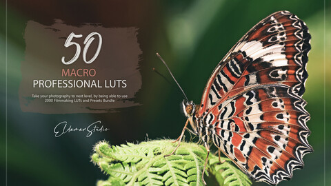 50 Macro LUTs and Presets Pack