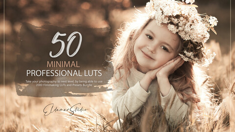 50 Minimal LUTs and Presets Pack