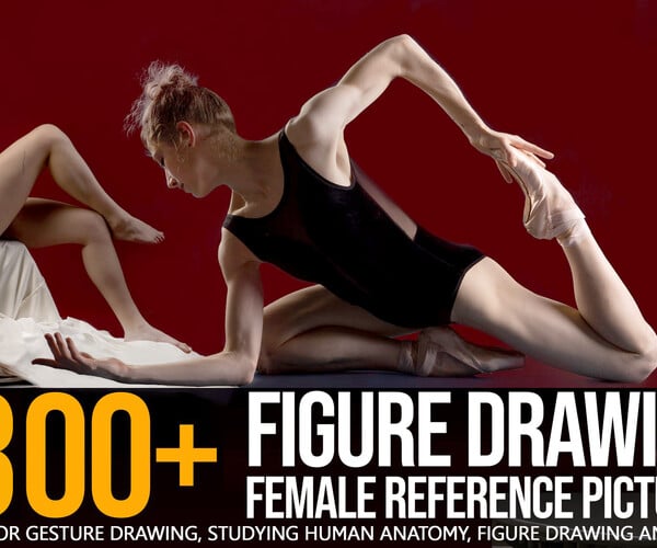 Figure drawing, Human figure drawing, Figure drawing reference