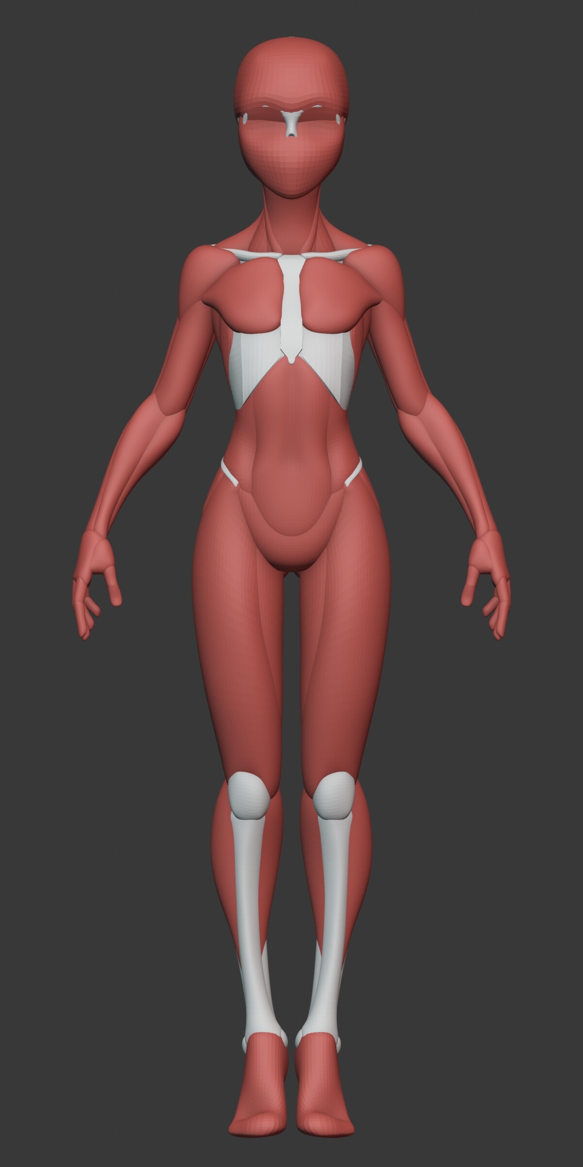 George Zaky - Stylized Female Anatomy