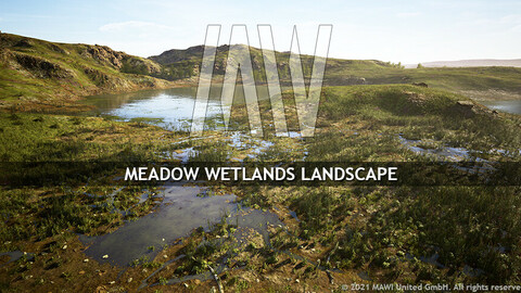 MW MEADOW WETLANDS LANDSCAPE