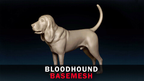 Bloodhound Basemesh 3D model