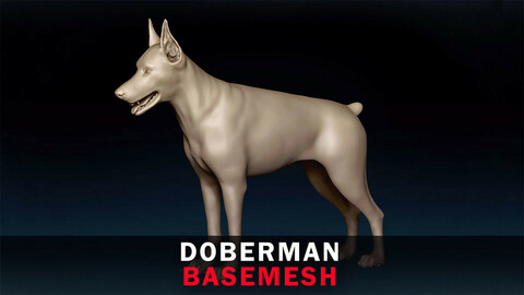 Doberman Basemesh 3D model