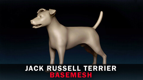 Jack Russell Terrier Basemesh 3D model