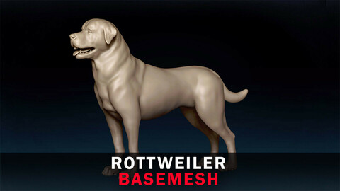 Rottweiler Basemesh 3D model