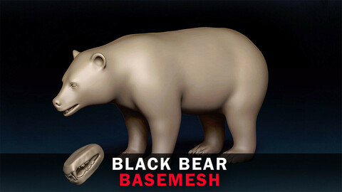 Black Bear Basemesh 3D model