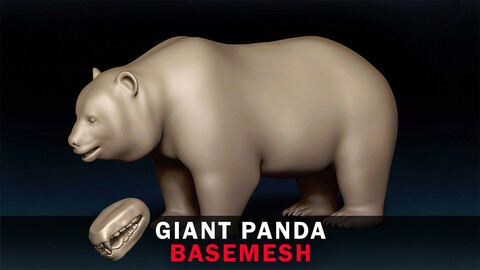 Giant Panda Basemesh 3D model