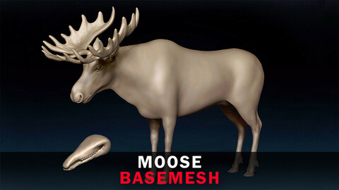 Moose Basemesh 3D model