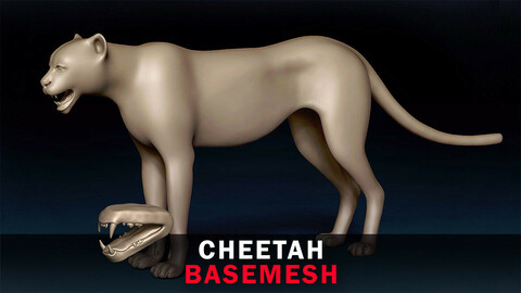 Cheetah Basemesh 3D model