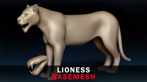 Lioness Basemesh 3D model