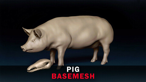 Pig Basemesh 3D model