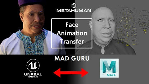 Metahuman Face Animation Tools