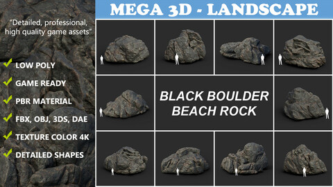 Black Boulder Beach Rock Collection 210731
