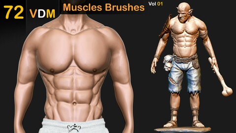 72 VDM Muscles Brushes  _Vol 01