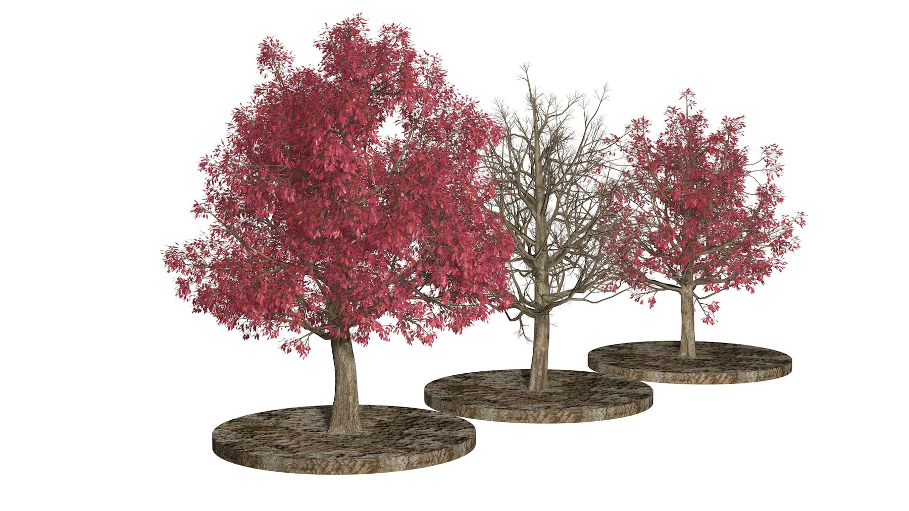 ArtStation - Three Pink trees v2 | Resources