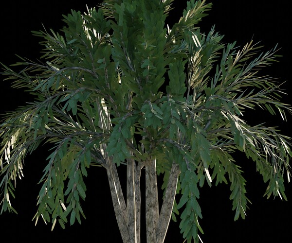 ArtStation - Tree 2 | Game Assets