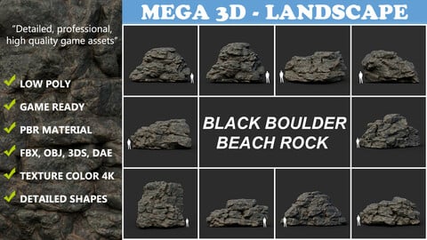 Black Boulder Beach Rock Collection 210804