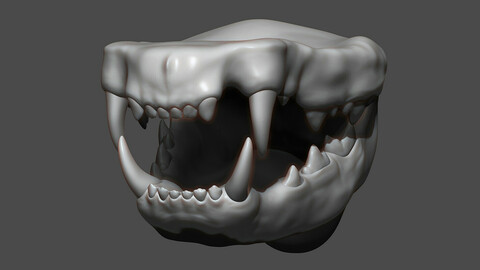 Cat Mouth ZBrush Sculpt