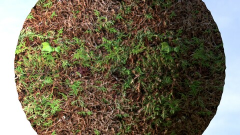 Hedge 4 PBR Material