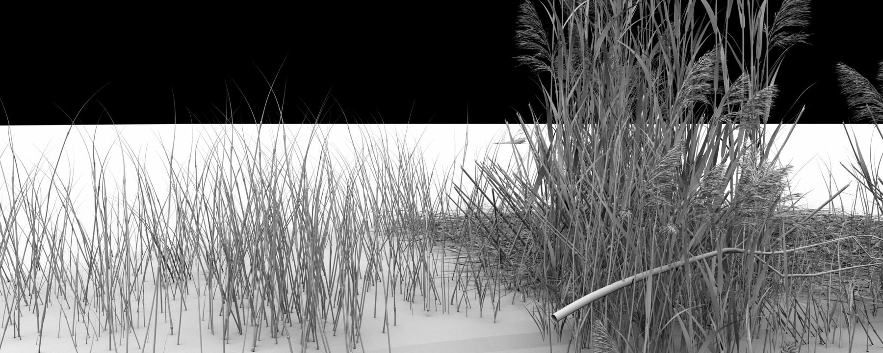 ArtStation - Lakes - swamps - reeds 3 | Resources