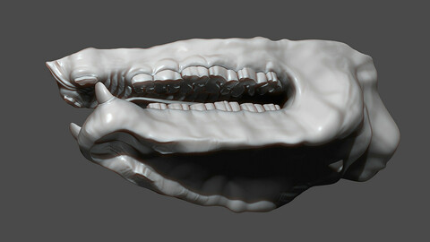 Rhino Mouth ZBrush Sculpt