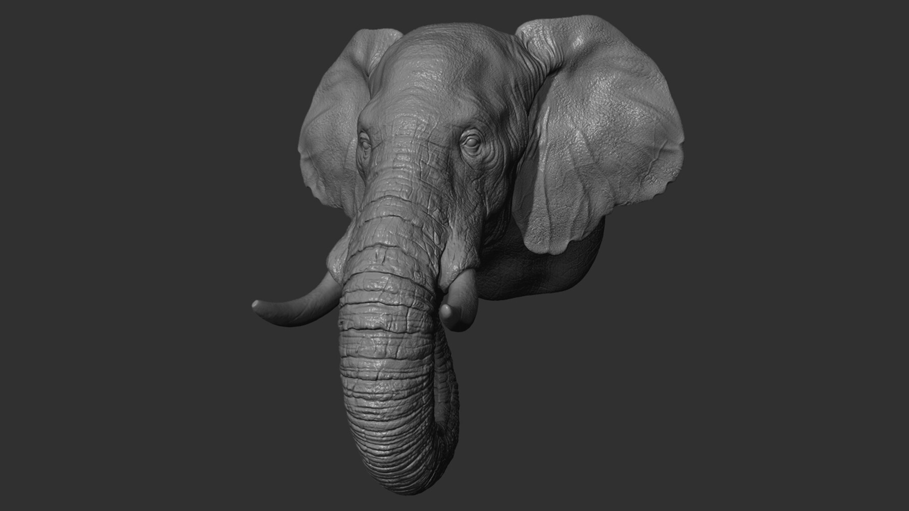 ArtStation - Elephant head | Resources