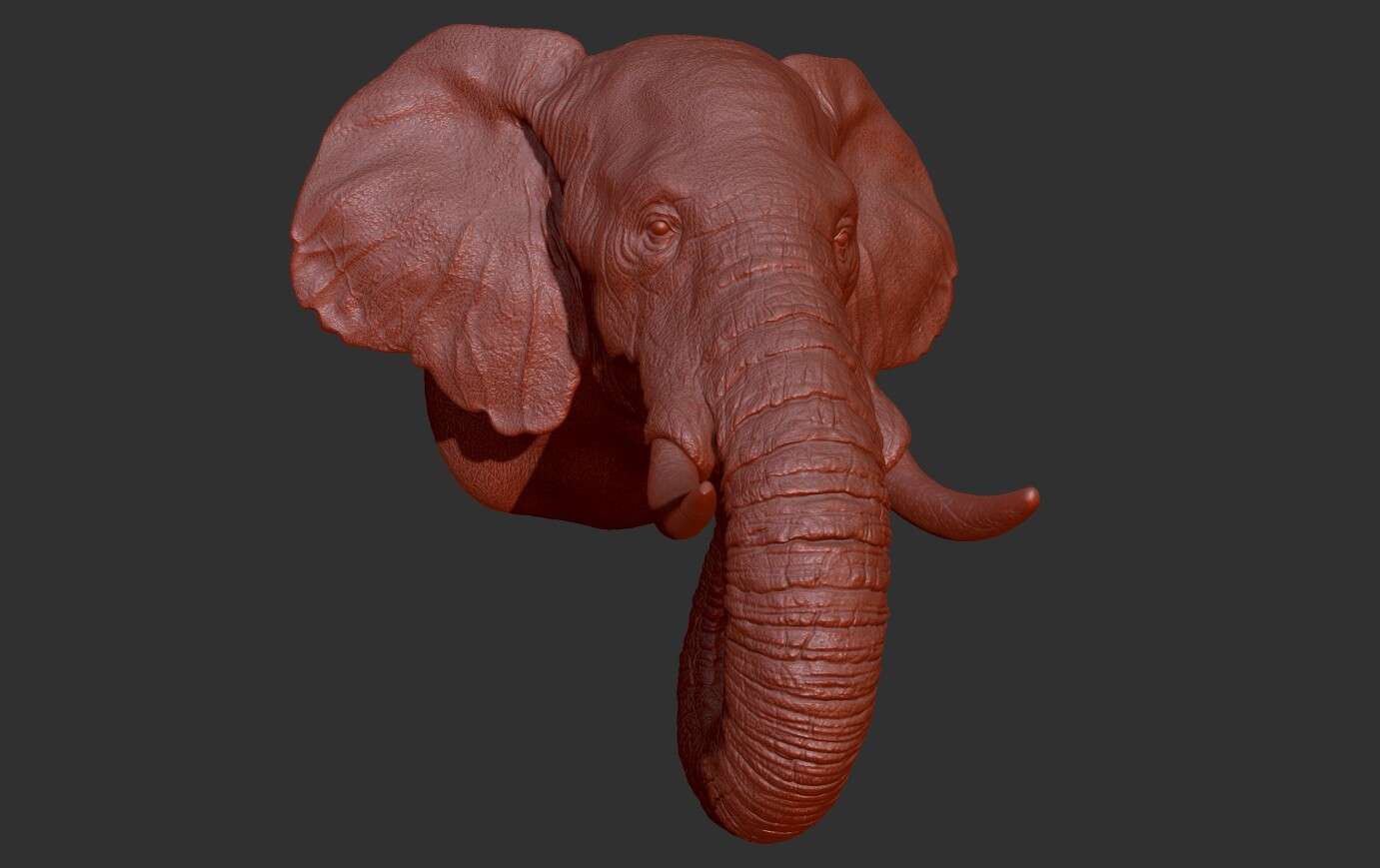 ArtStation - Elephant head | Resources