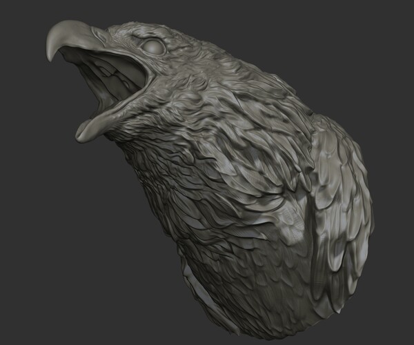 ArtStation - Bald Eagle head