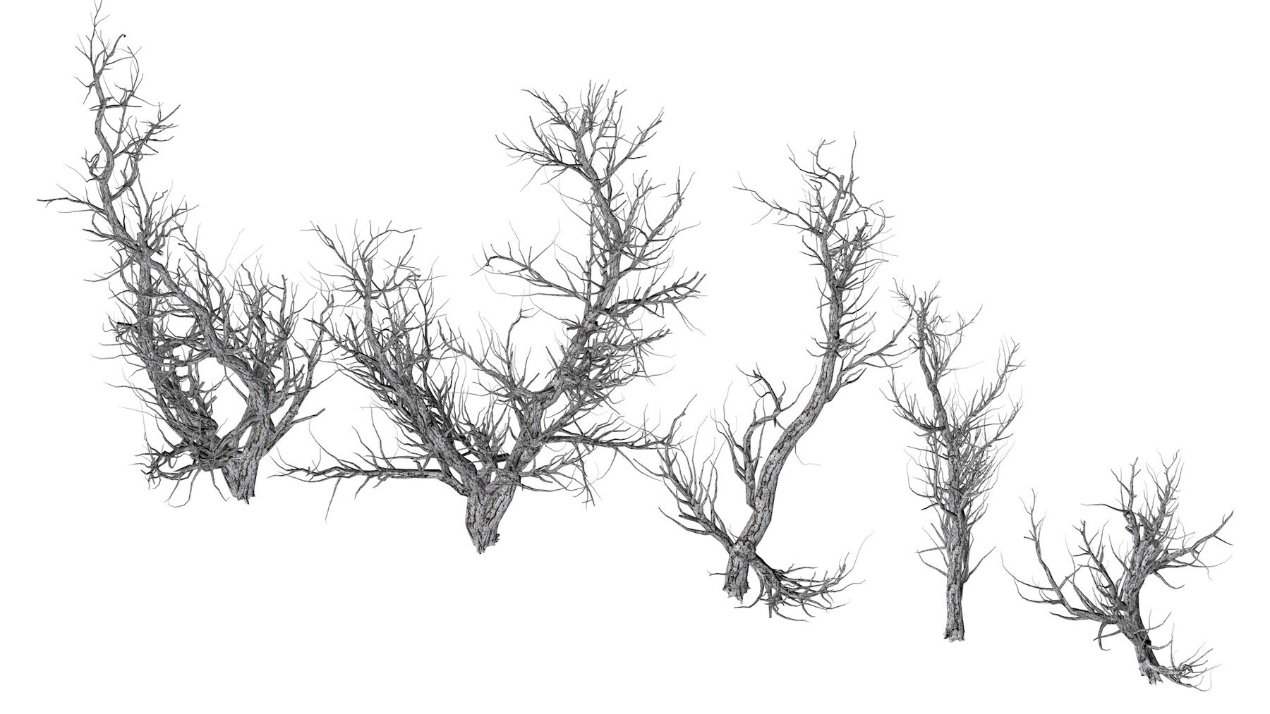 ArtStation - Root 5 trees low-poly | Resources