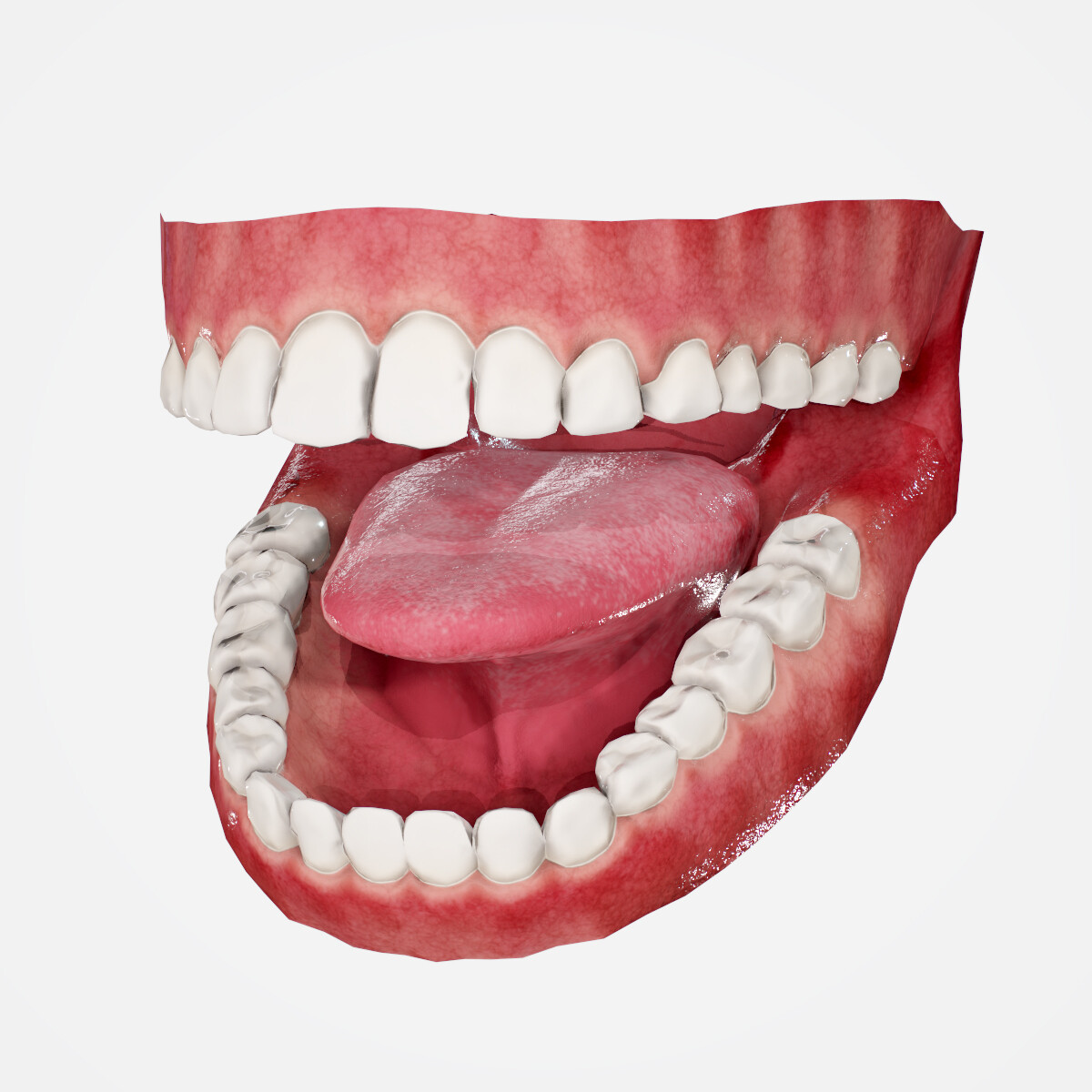 ArtStation - Realistic low poly mouth 3D model | Game Assets