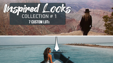 Inspired Looks Collection #1 | LUTs for Final Cut, Premiere Pro, DaVinci Resolve, Filmora, Photoshop | Professional Color Grading LUTs