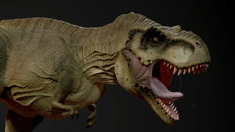 T-Rex Base Mesh