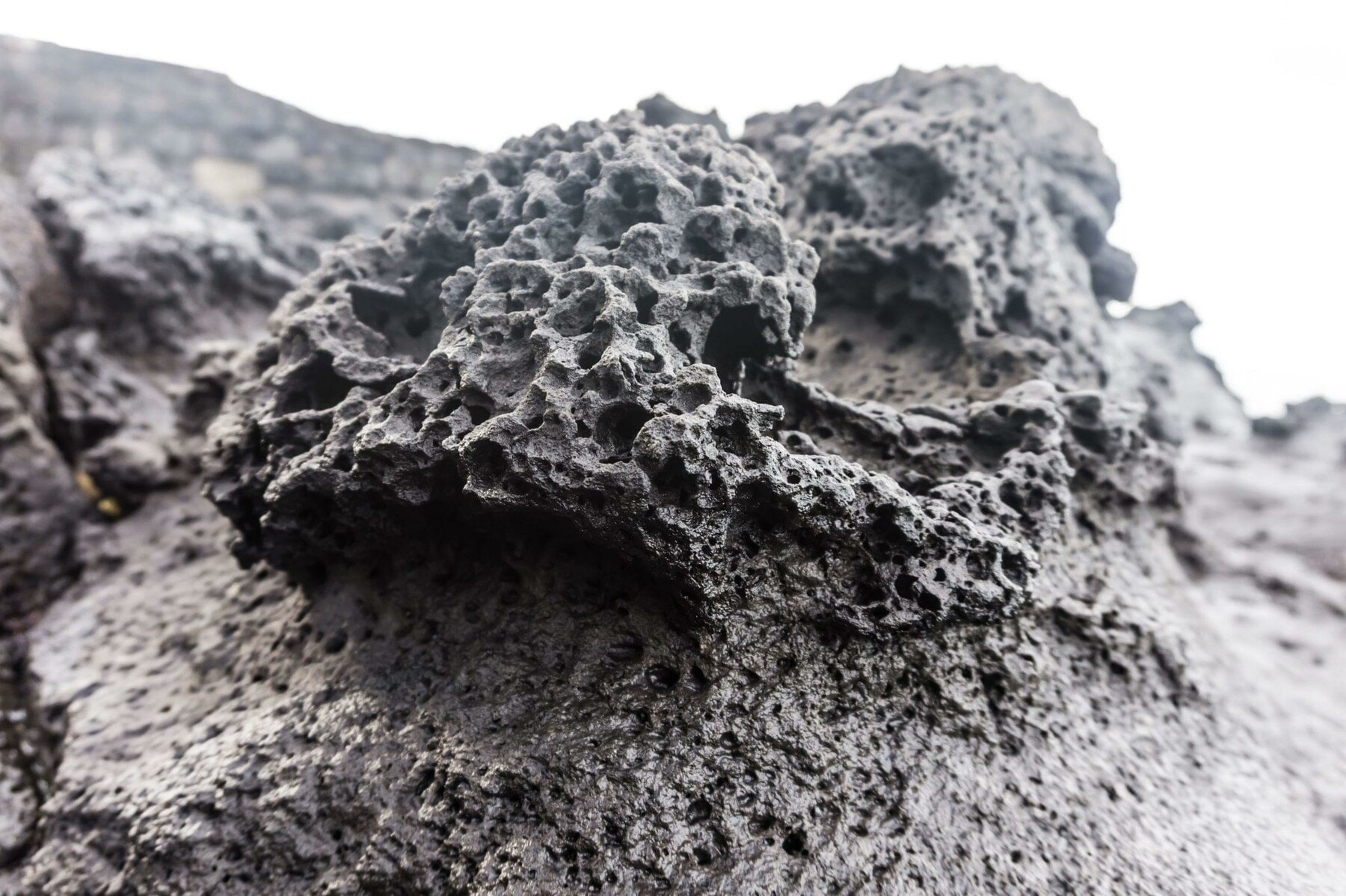 FOTOREF.COM Photo Packs - 183 photos of Black Lava Porous Rocks