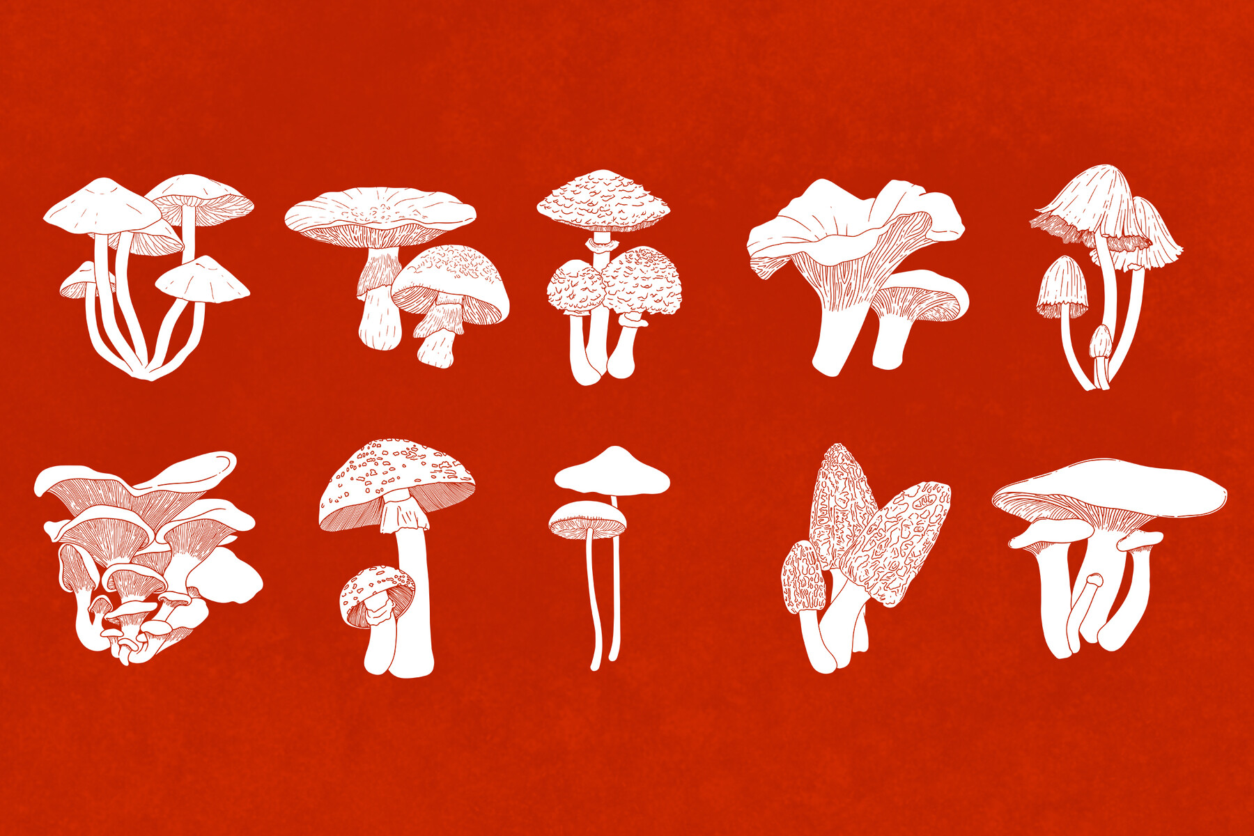 4,490 Mushroom Brush Images, Stock Photos, 3D objects, & Vectors