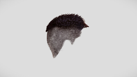 Hair Male - 019