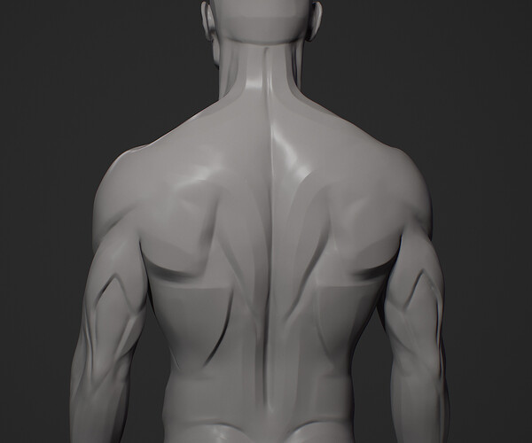 ArtStation - Planes of the figure - Male | Resources