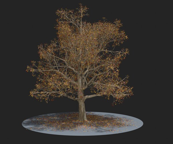 ArtStation - Autumn Tree | Resources